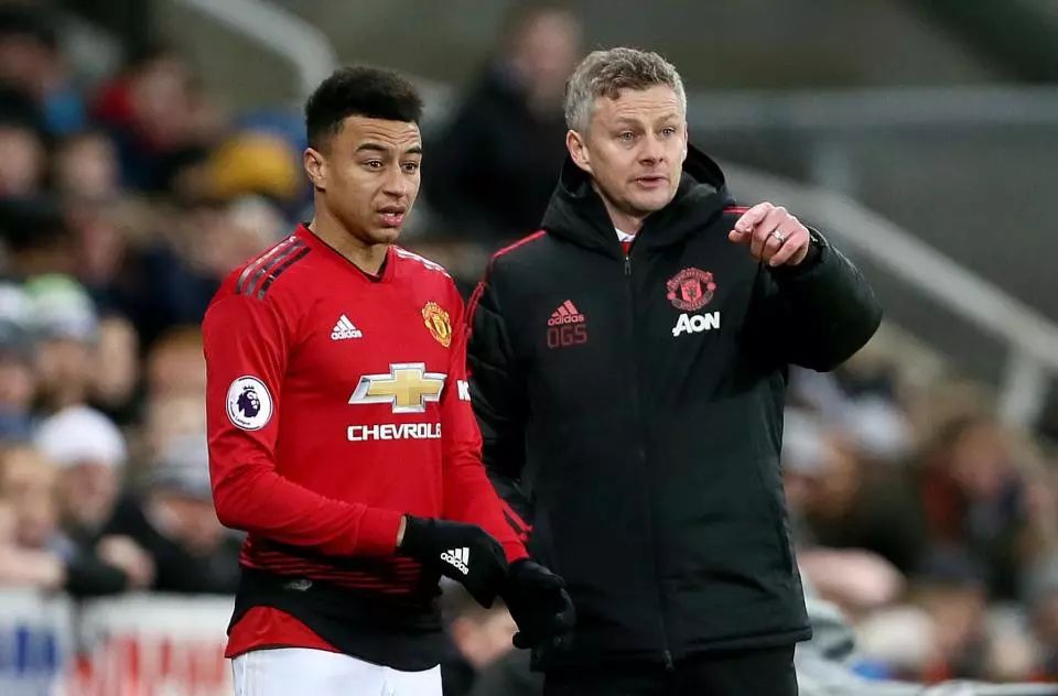 鲜明对比的 鲜明对比的