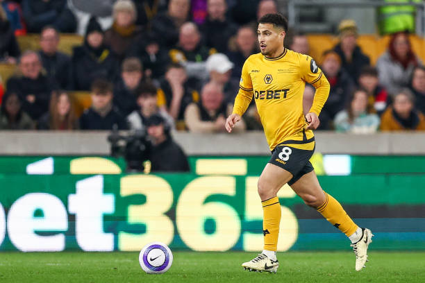 年的自由身 年的自由身